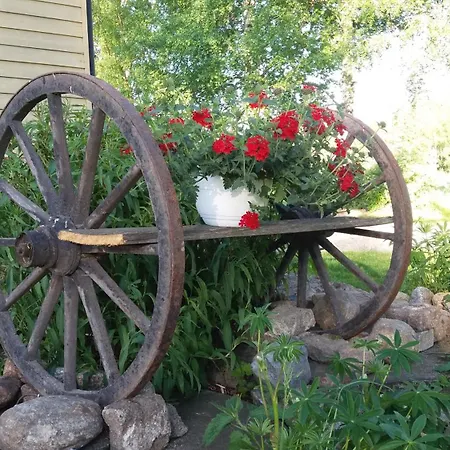 Anna Jeppo * Uusikaarlepyy